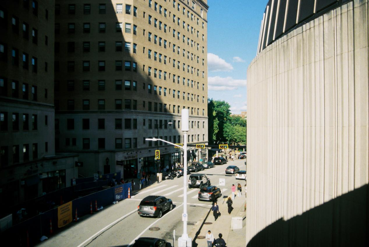 The surveillance perspectives in public