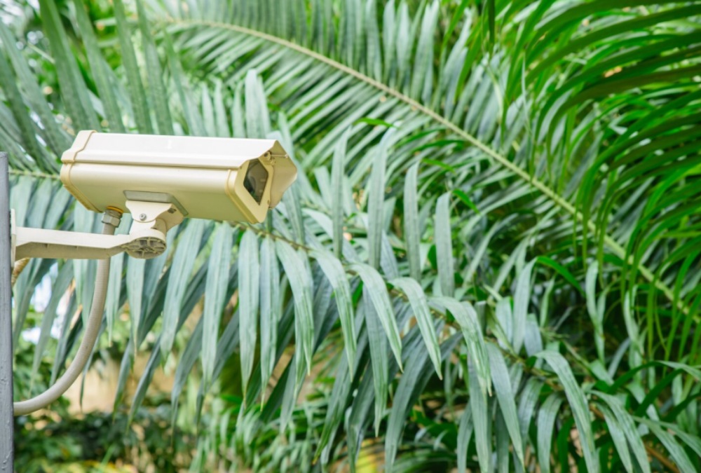 How Do Wireless IP Cameras Deliver Reliable Monitoring Without Physical Cabling