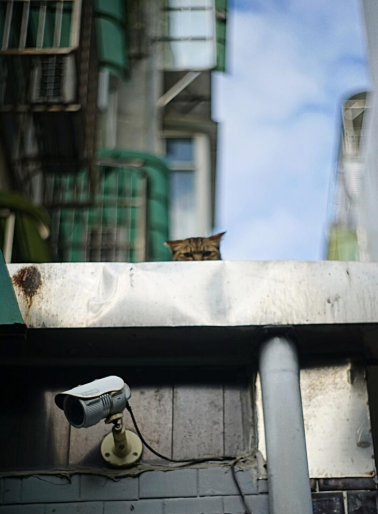 What Are the Differences Between HD Cameras and IP Cameras