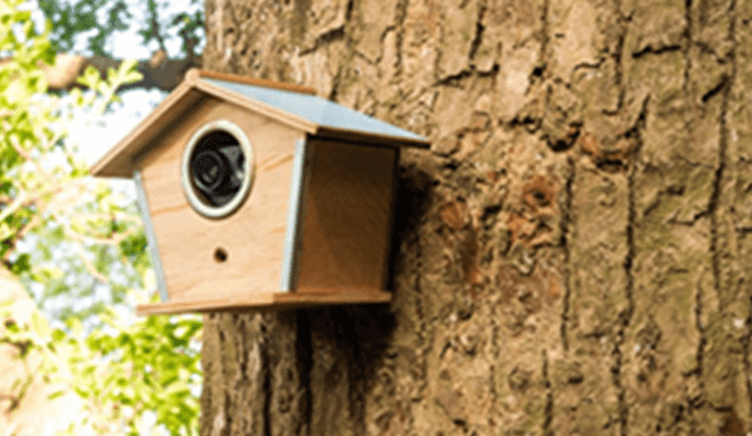 Effective Ways to Hide Outdoor Security Cameras in Plain Sight