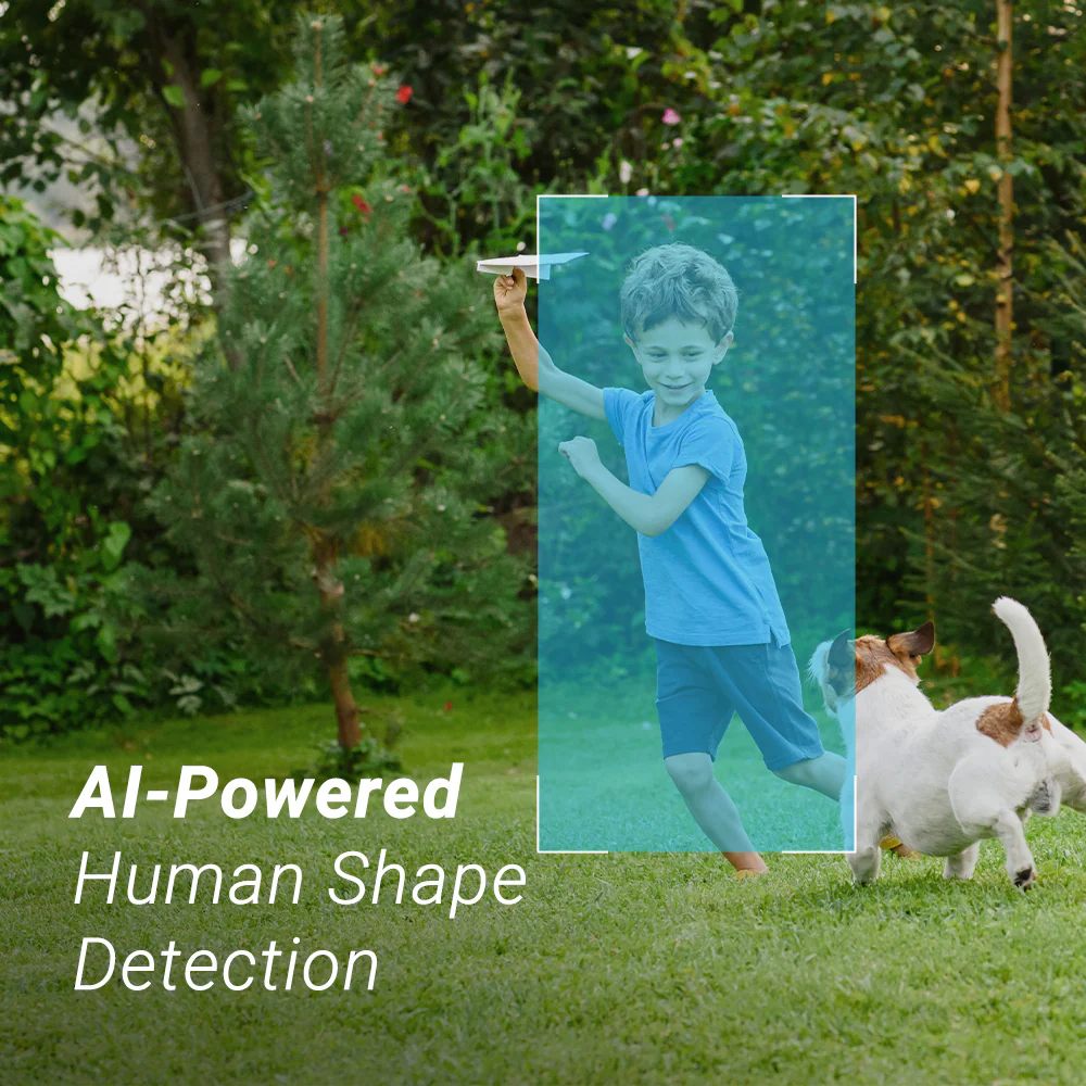 Human and Vehicle Detection