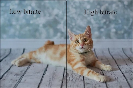 how much data carries the picture
