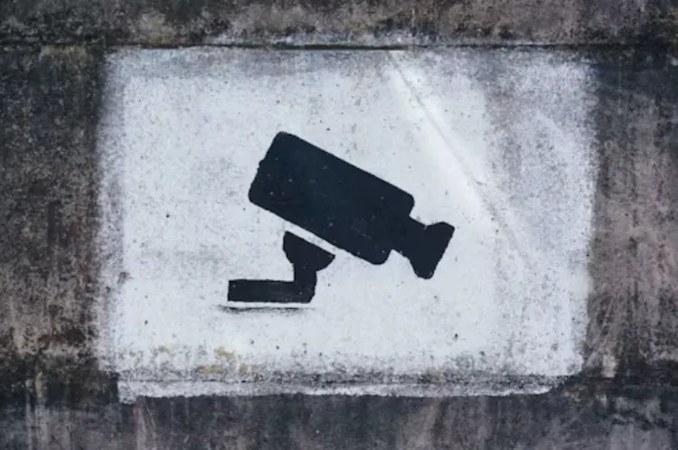 camera images painted on the wall