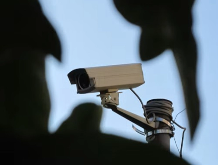 surveillance cameras on utility poles