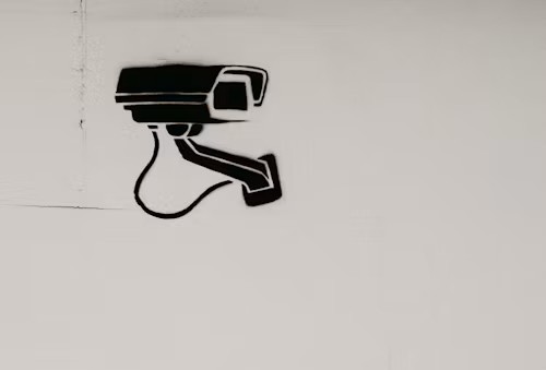 OEM camera