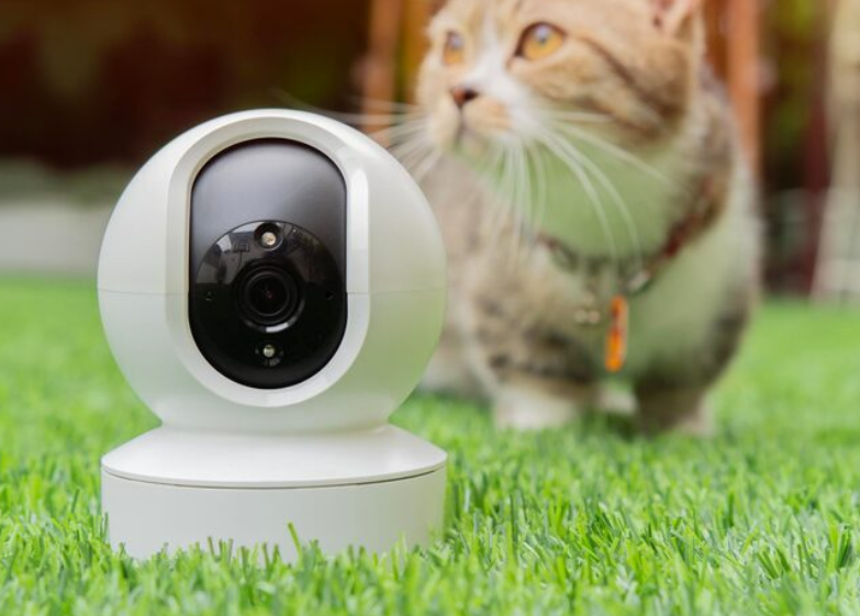 How Do Wireless Wifi Cameras Work in Everyday Security