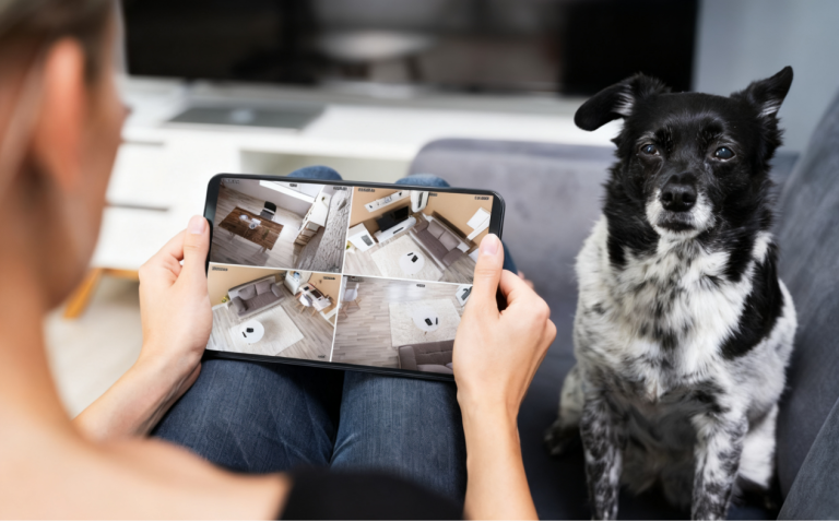 More Than Monitoring The Unexpected Benefits of Having an IP Camera