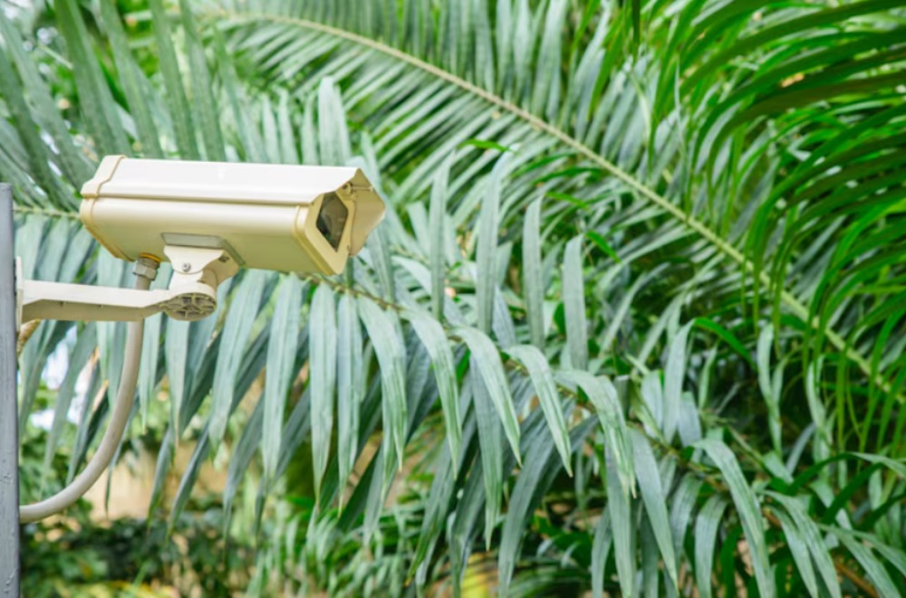 What Key Features Define an Intelligent Outdoor IP Camera Today