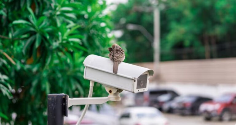 How Do the Design Strategies Influence the Reliable Performance of Outdoor Wireless IP Cameras