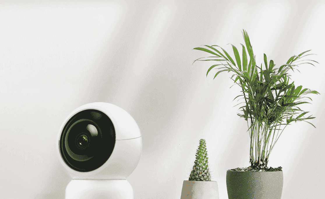 Exploring IP Wireless Camera Functionality Without WiFi